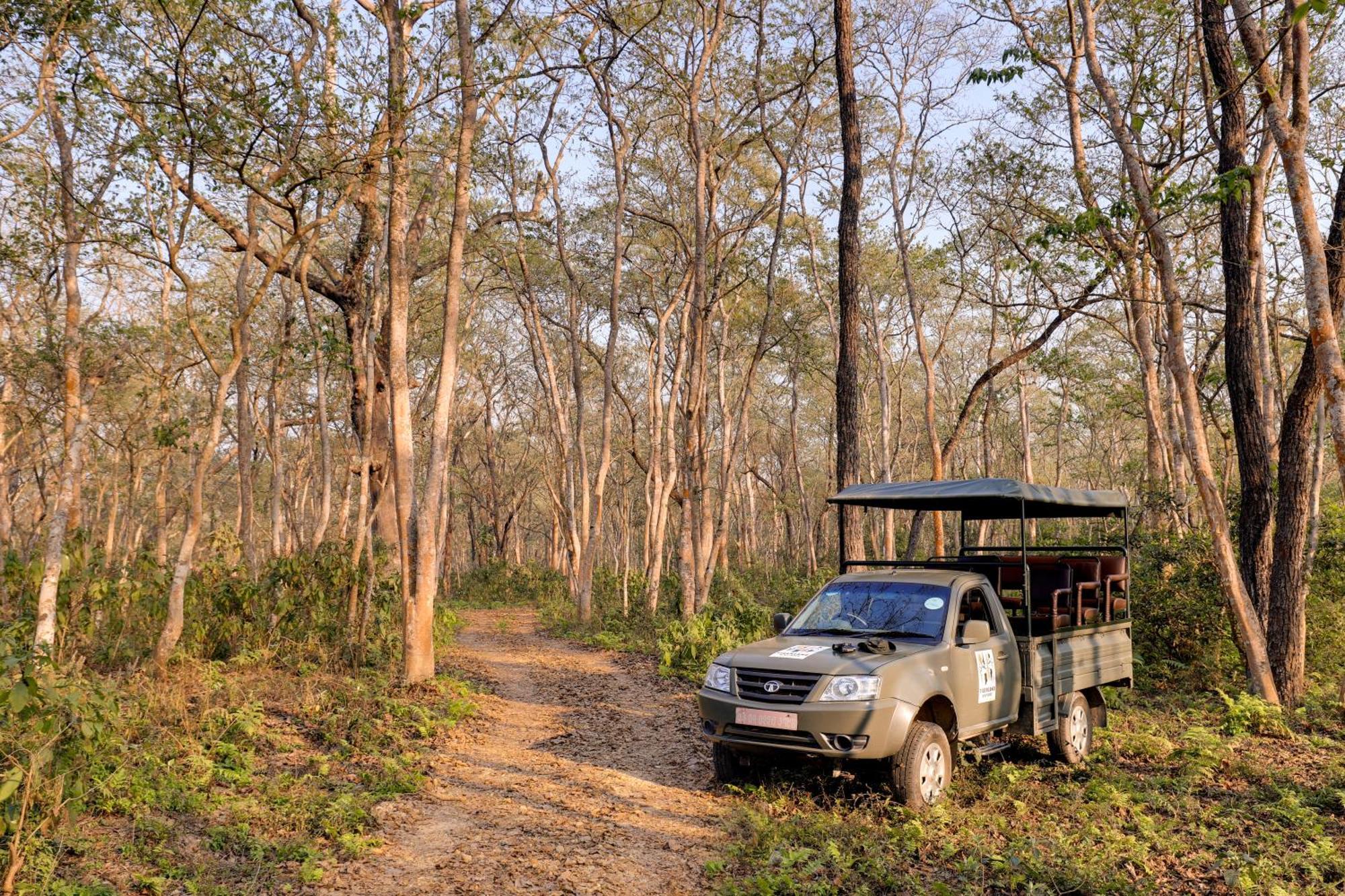 Tigerland Safari - A Lemon Tree Resort, Chitwan, Nepal Patlahara Esterno foto